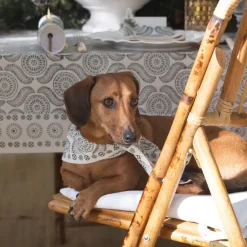 India Hicks Home Medals & Mustaches Tablecloth