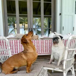 India Hicks Home Pageant tablecloth
