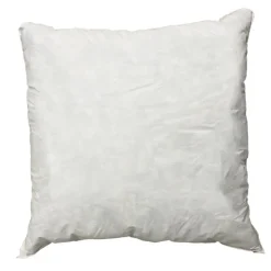Square Throw Pillow Insert